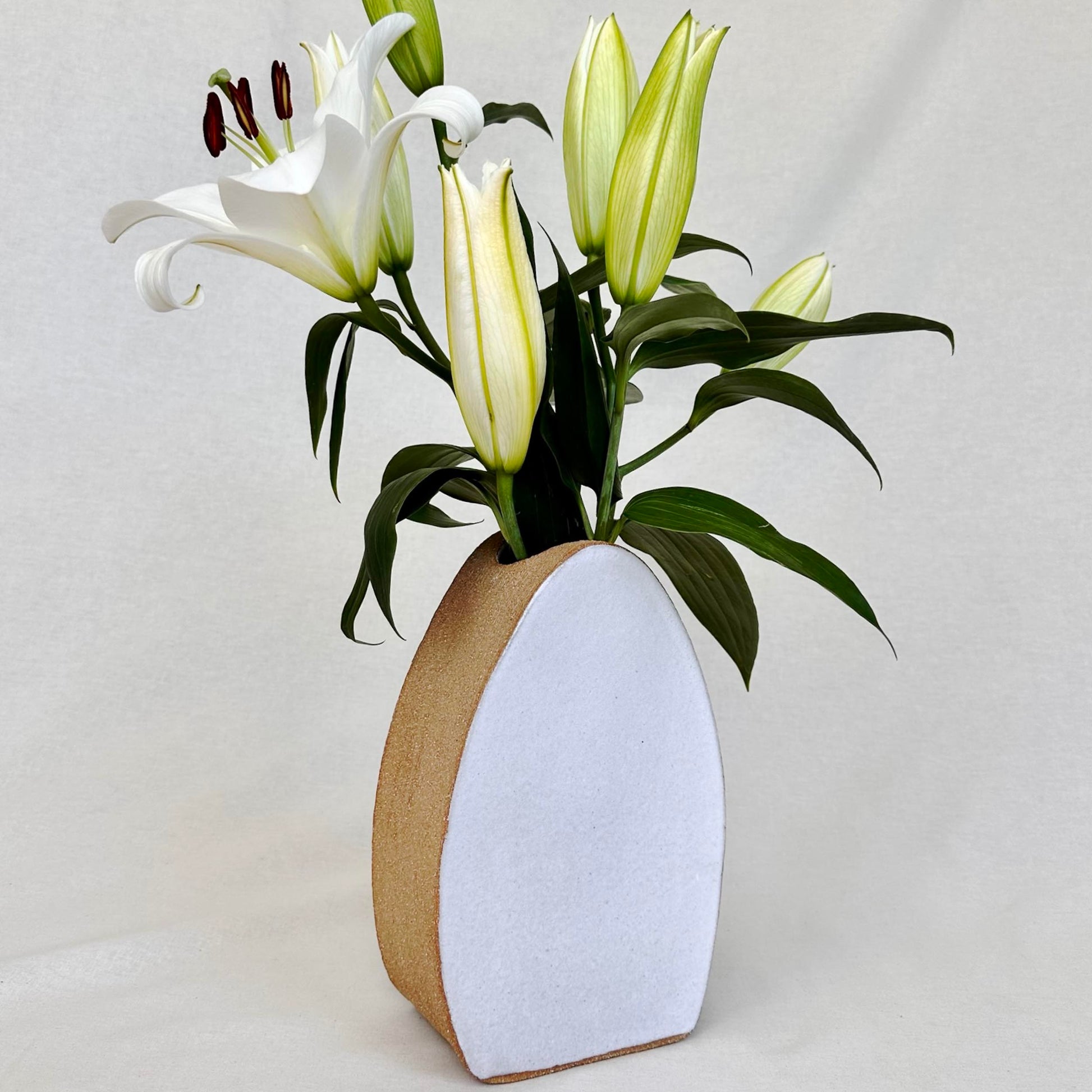 Large Flower Vase - Pebble Shape